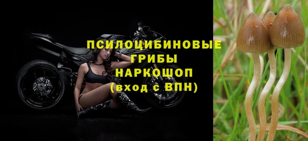 ALPHA-PVP Нефтекумск